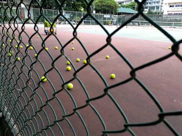 Impacto del cierre de canchas de tenis en la comunidad y el deporte local